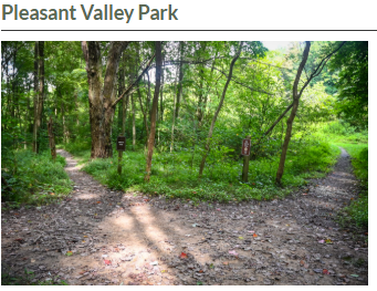 Be a Better Birder Workshops: Confusing Fall Warblers @ Pleasant Valley Park