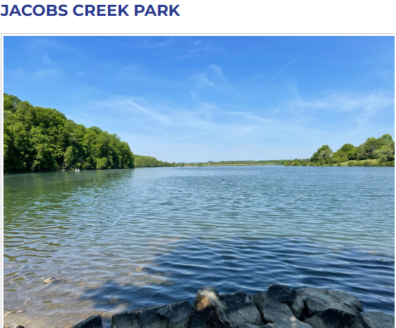 Be a Better Birder Workshops: Winter Waterfowl ID @ Greenlick Run Lake