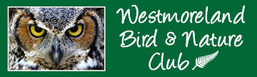 Westmoreland Bird &amp; Nature Club