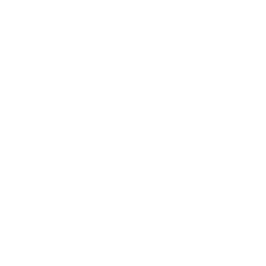 Icon representing settings or configuration, with a gear and concentric circles.