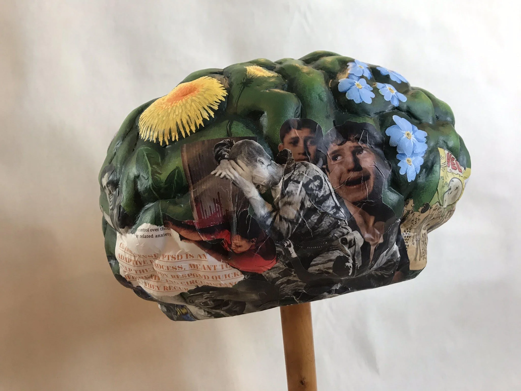 Brain, right, multimedia