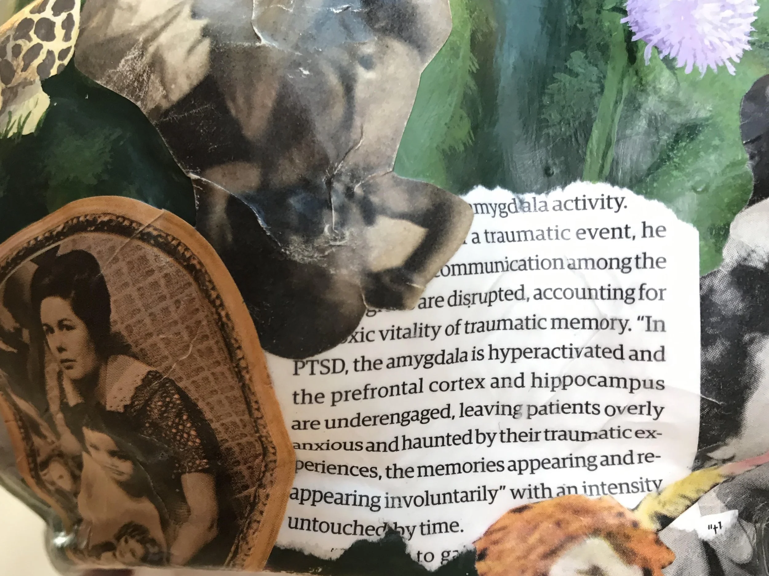 collage detail, Brain, multimedia 20" x 25"