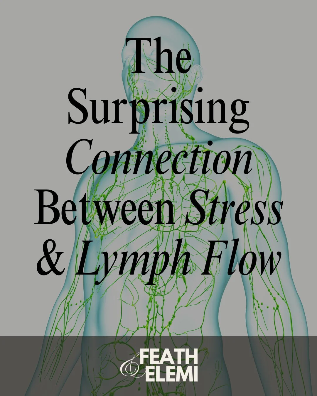 Did you know chronic stress can slow down your lymphatic system? When we stay stuck in &ldquo;fight or flight&rdquo; mode, our bodies struggle to move lymph&mdash;leading to swelling, fatigue, brain fog, and a sluggish immune system. 🌿

Your lymphat