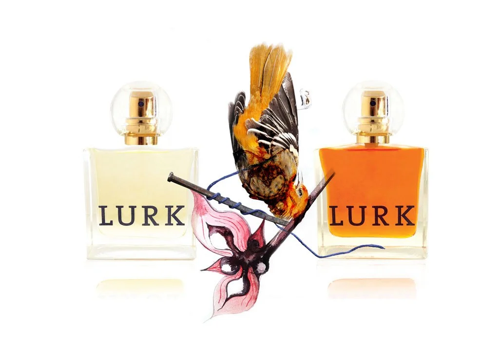 LURK FRAGRANCES: Branding | Creative Direction | Graphic + Packaging Design | Illustration