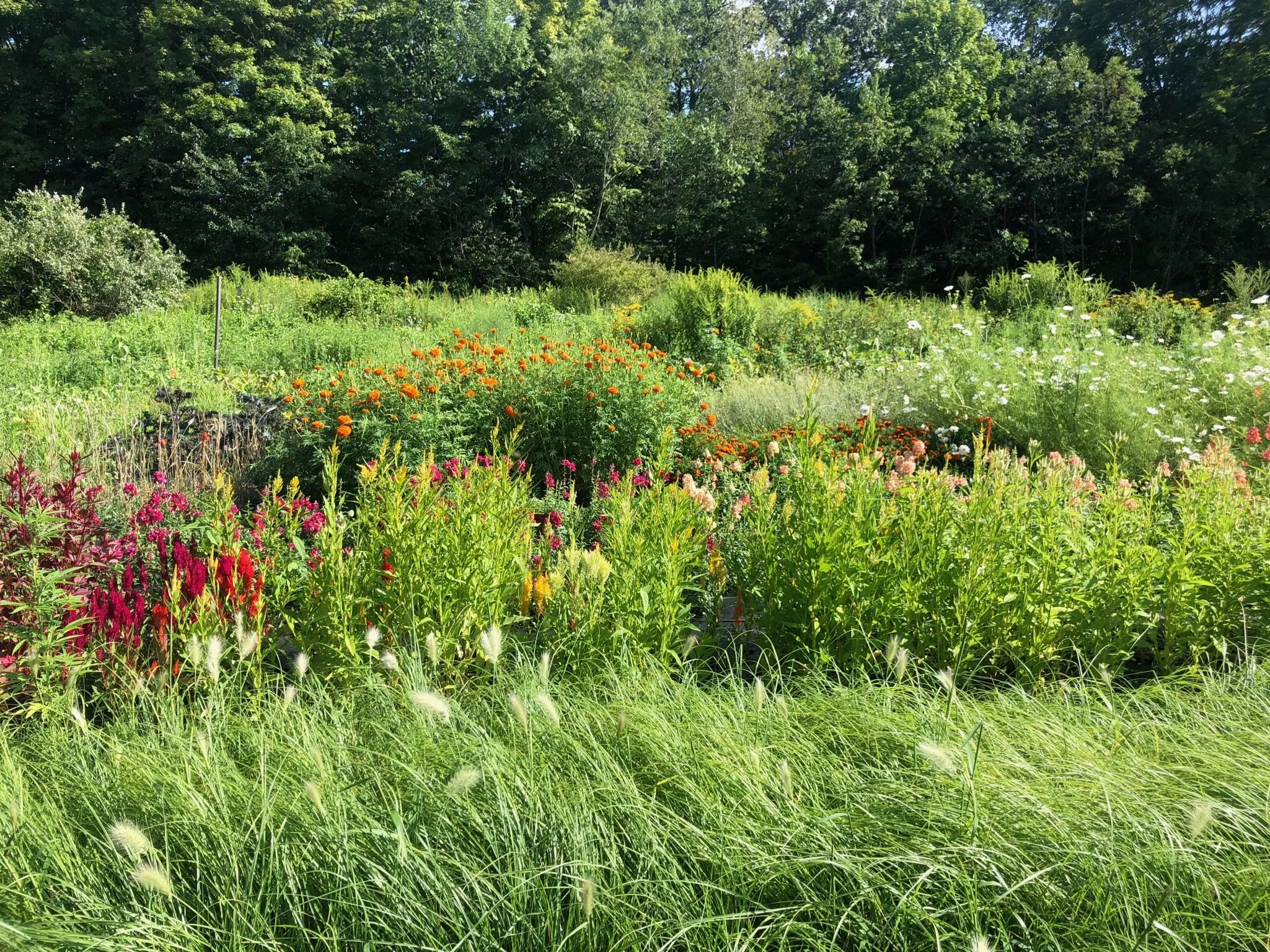 About — Giroux Farm