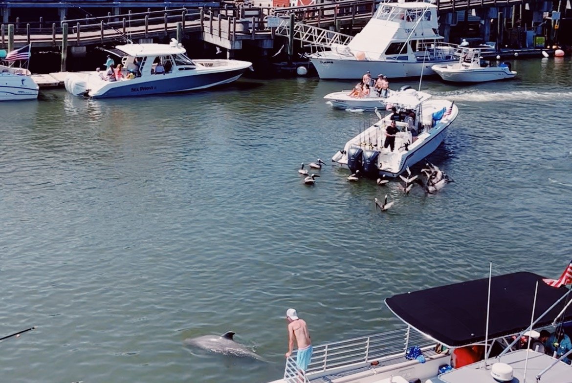 Shem Creek