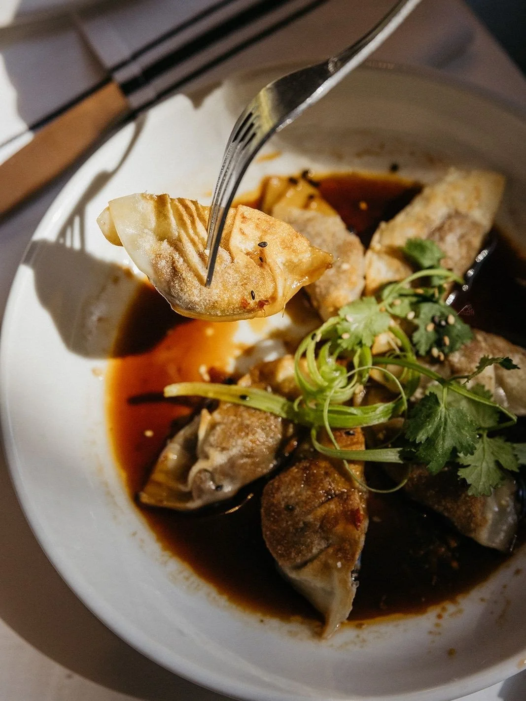 short rib pot stickers, made in house daily.