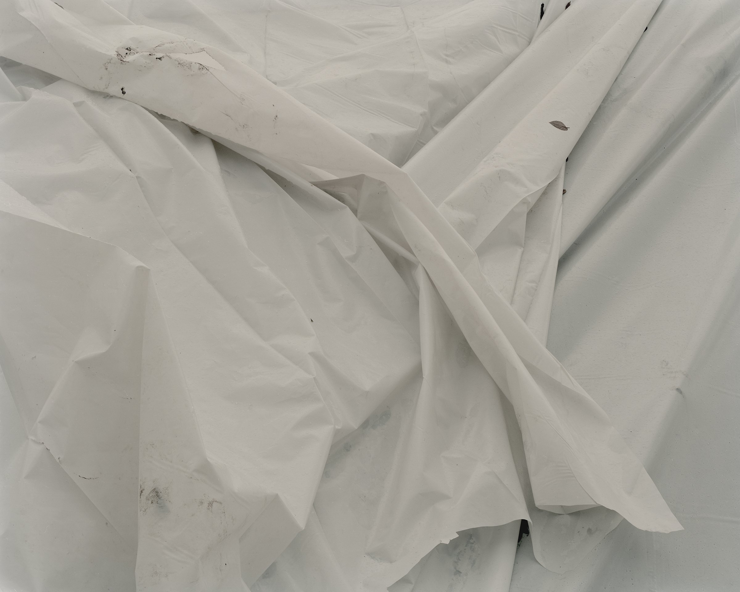 PlasticSheet_White_2400.jpg