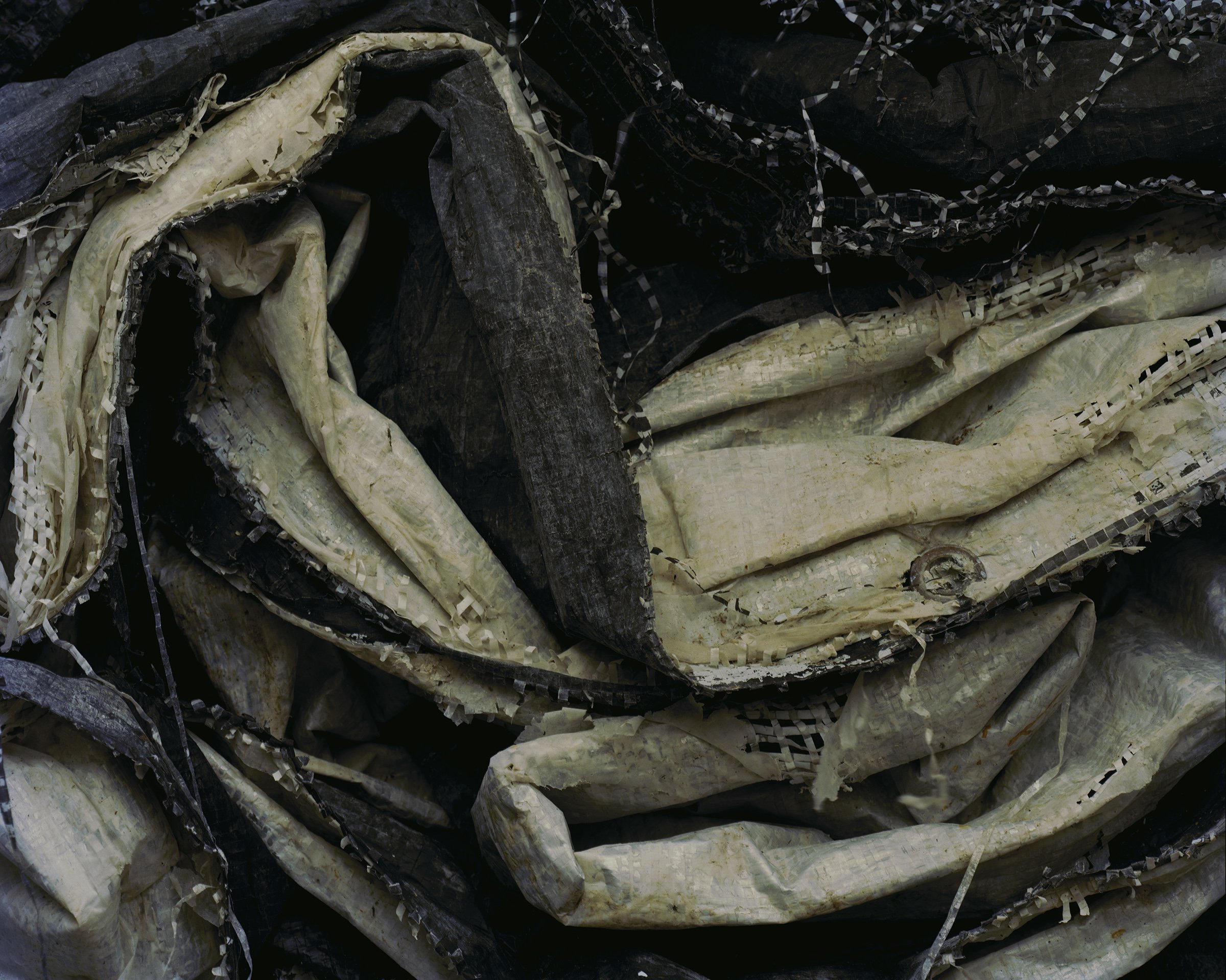 Tarp_2400.jpg