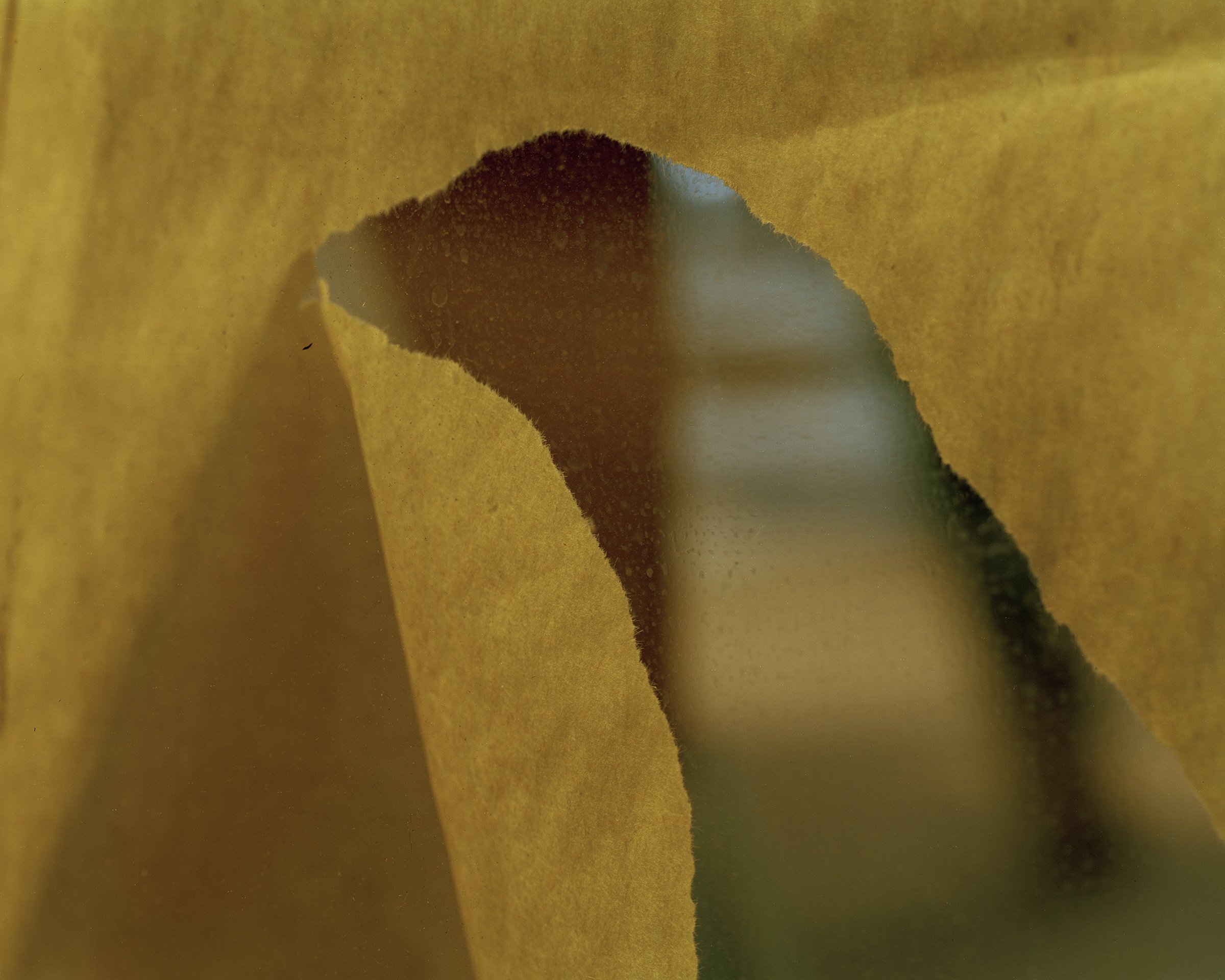 BrownPaper_YellowNightTear_2400.jpg
