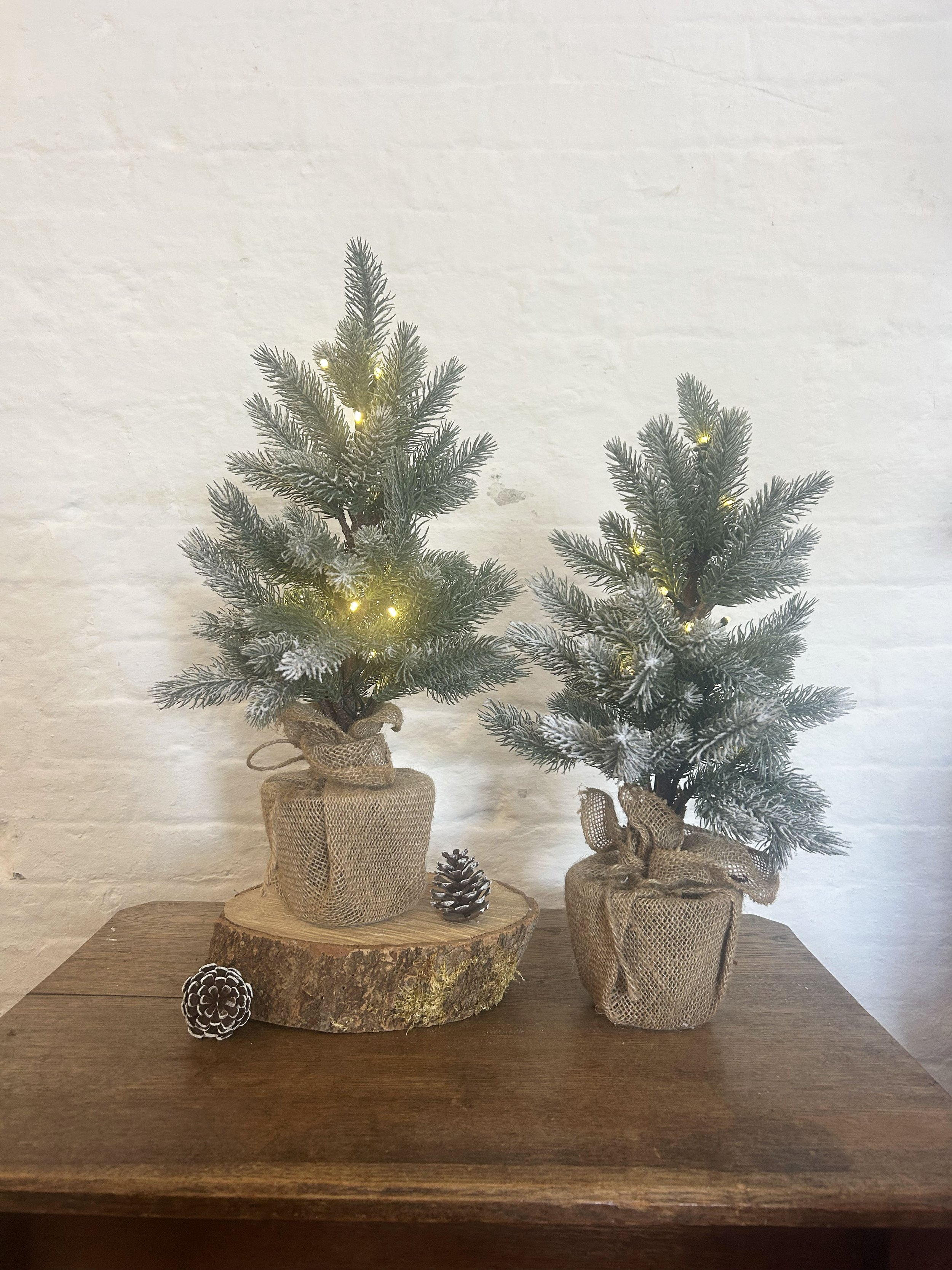 Small light up Christmas trees