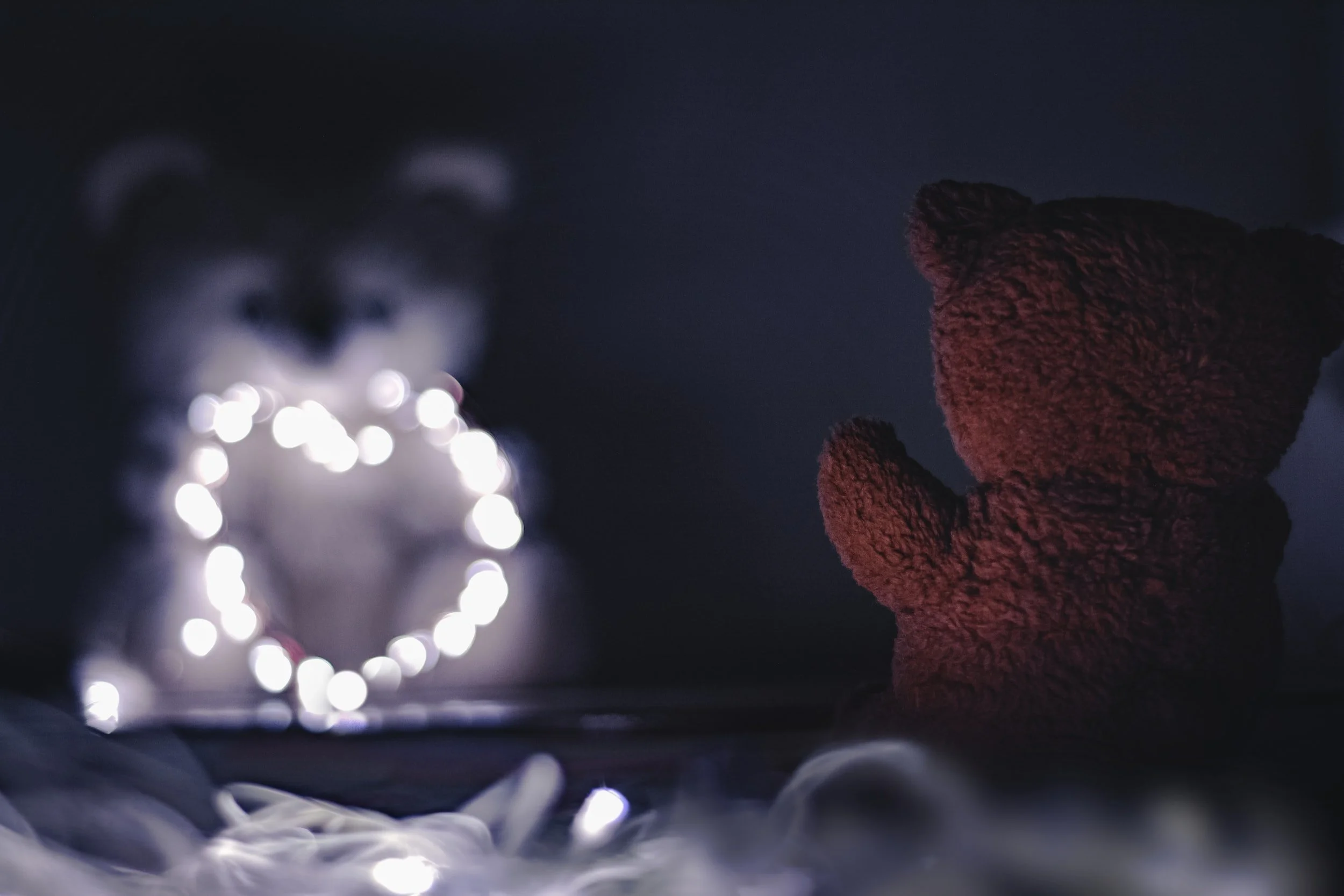 Taste Test: Puddington Bear