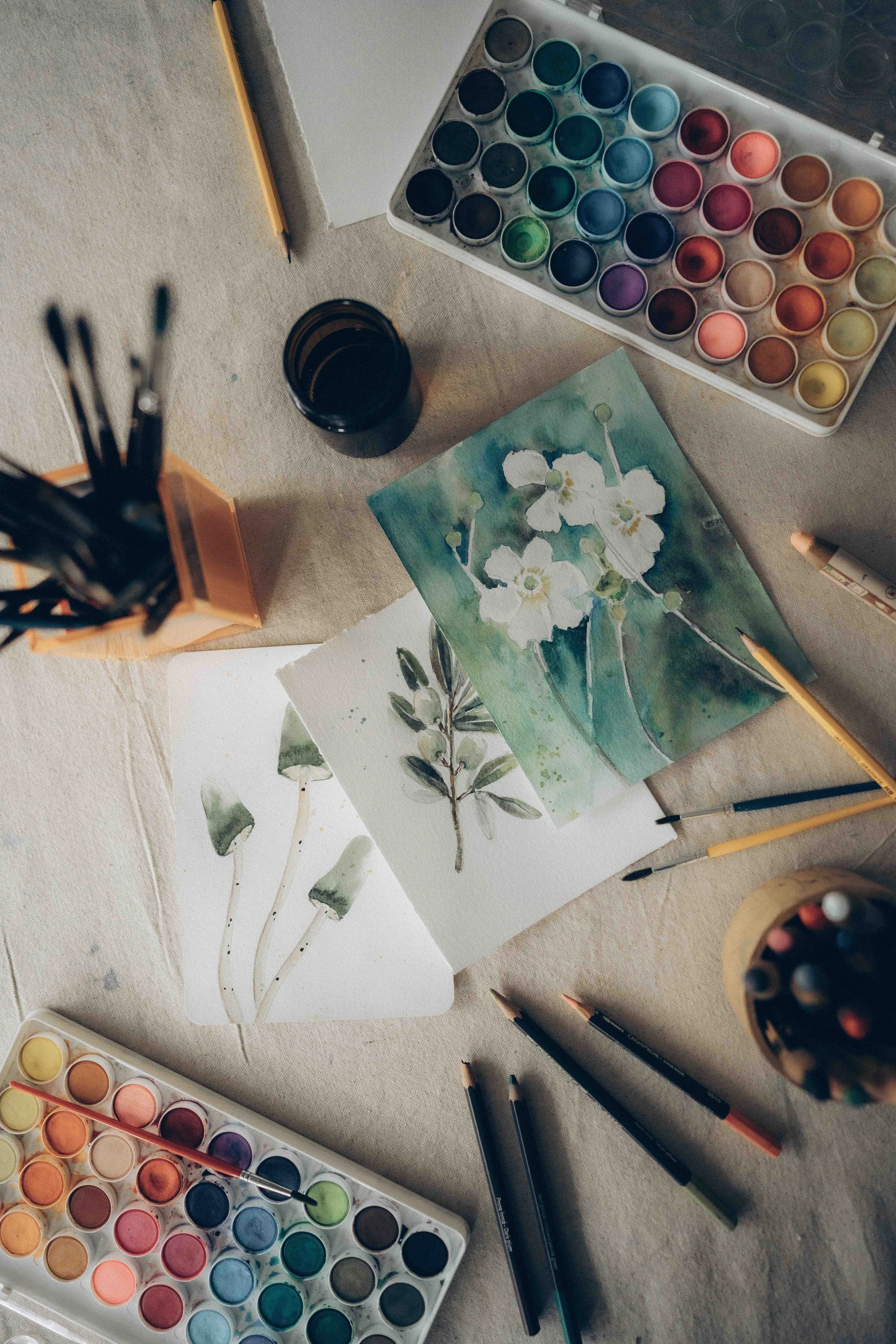 Liana 2026-3 copy.jpg