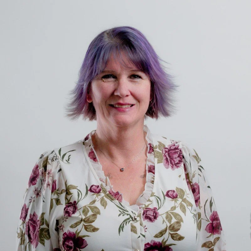 Snow-capped mountains over a green forest and a valley with cloudy sky.