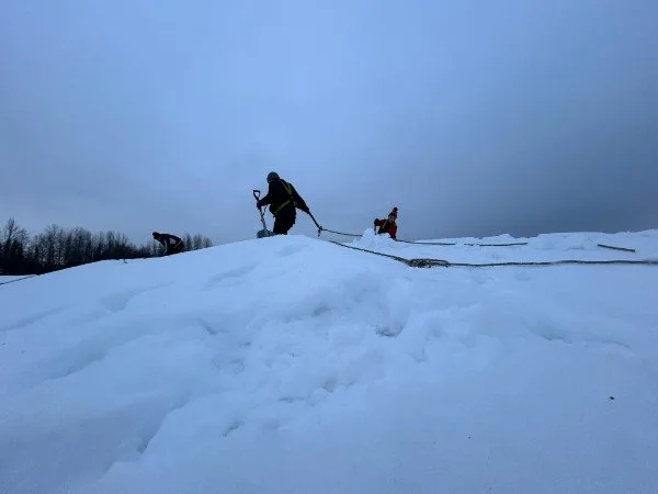 People shoveling snow from a rooftop on a cloudy day with trees in the background.