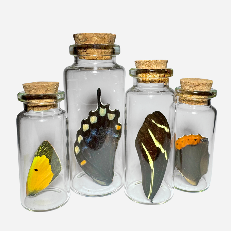 Vials4pack.png
