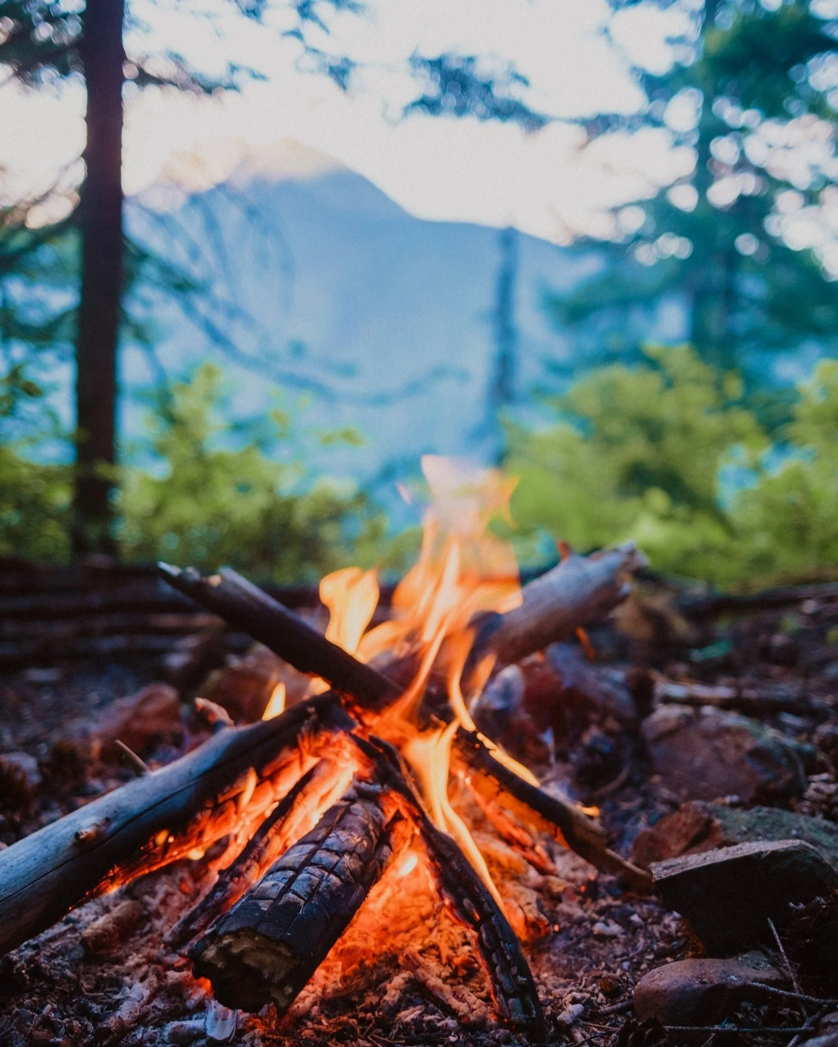 A campfire with burning logs and flames on rocky ground in a forest with green trees and mountains in background.