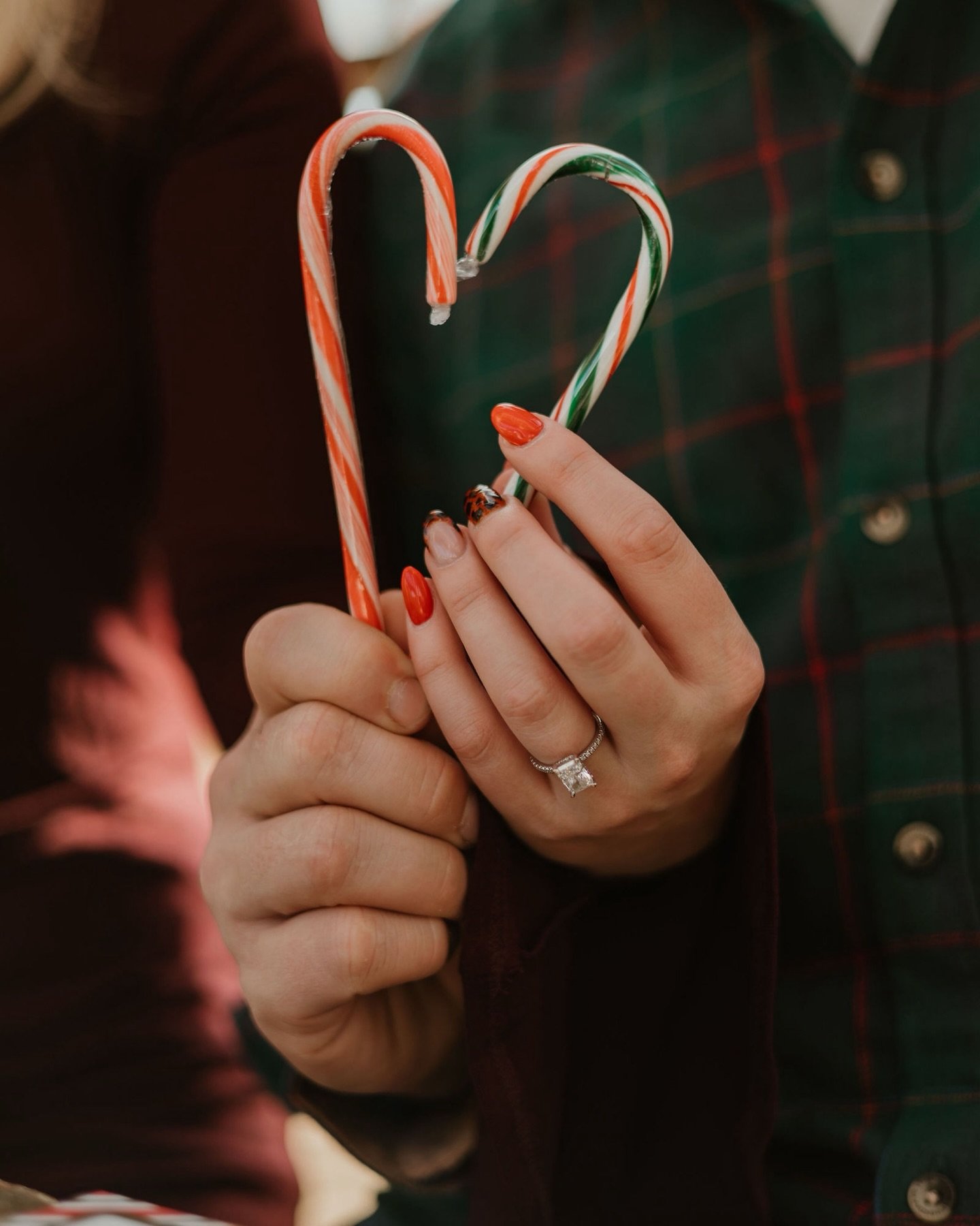 That&rsquo;s a wrap on Christmas 2025! I hope everyone had a wonderful Christmas. My Christmas minis were some of my favorites I&rsquo;ve done. @mthoodcenter greenhouse is seriously so perfect. That beautiful space mixed with @dashofdarlingparty insa