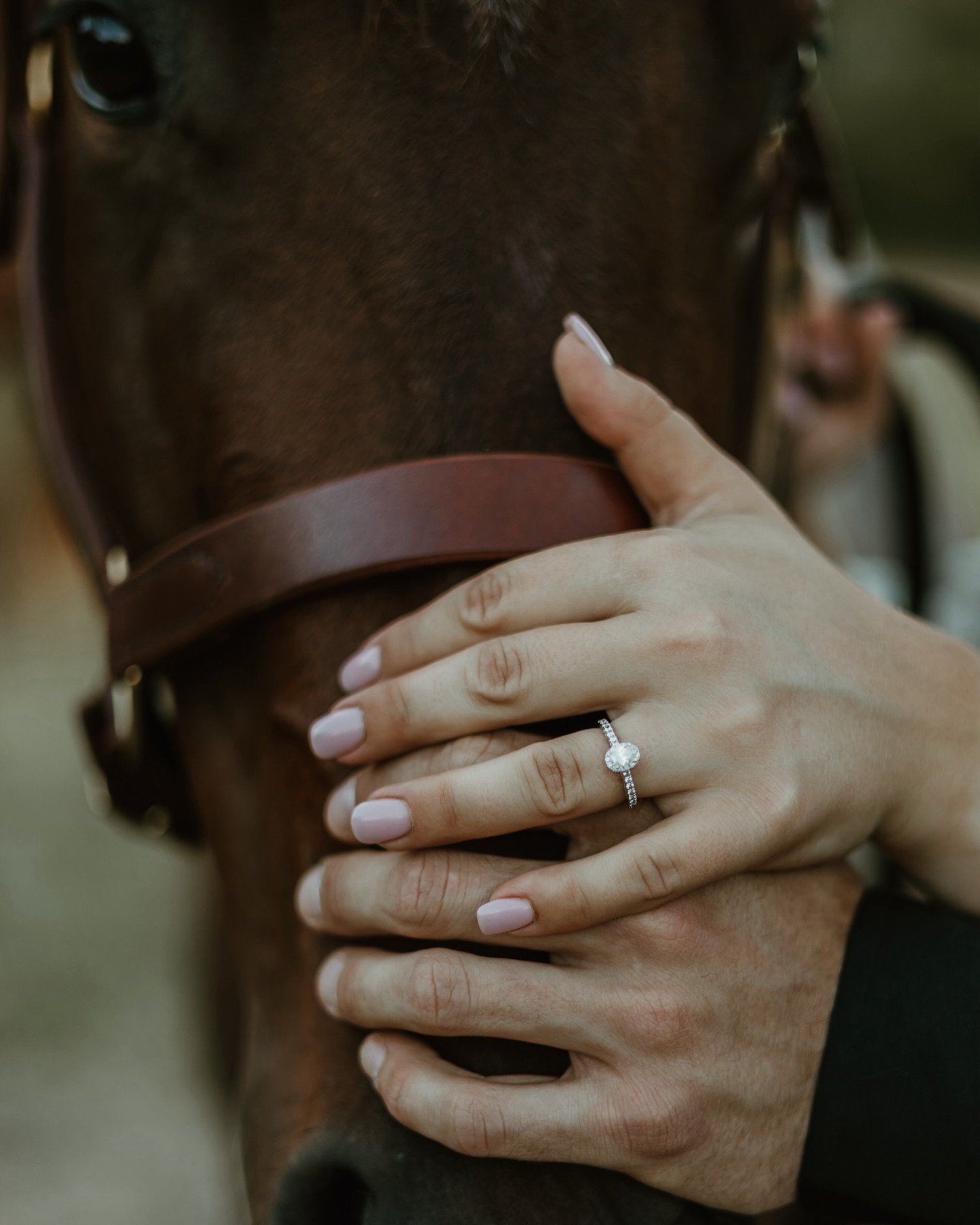 Why yes, I would love it if your horse came to your session 🐎🥹