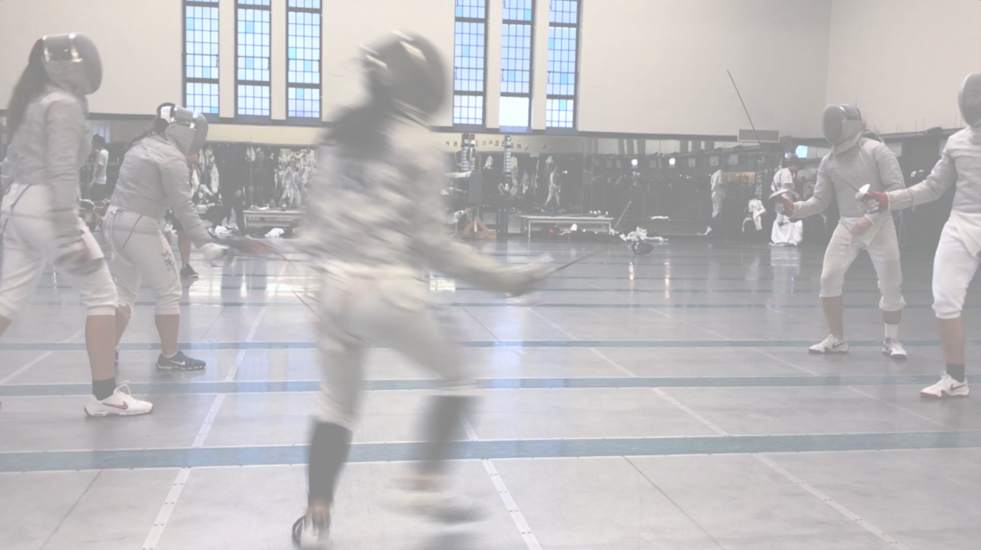 Fencing.webp