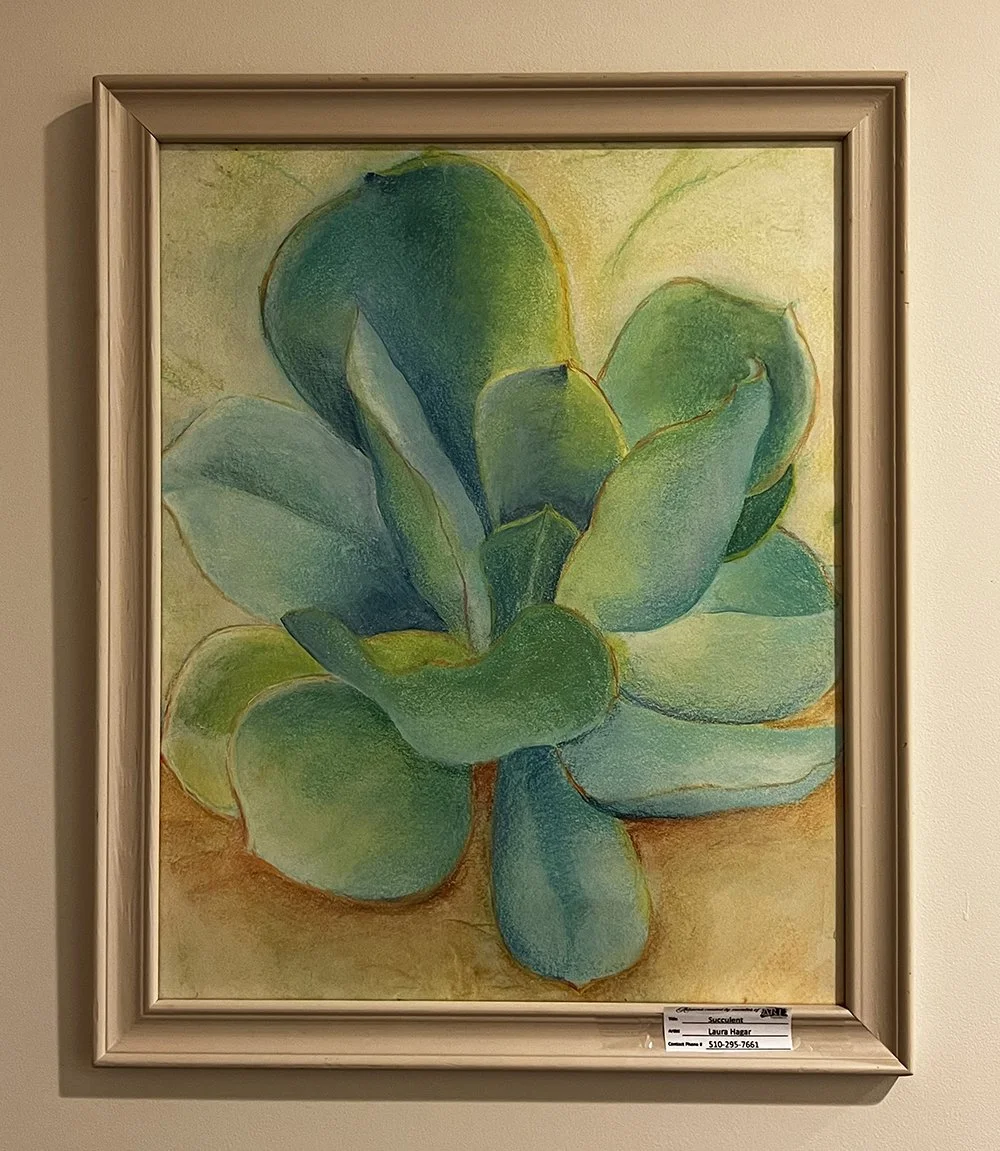 Succulent.jpg