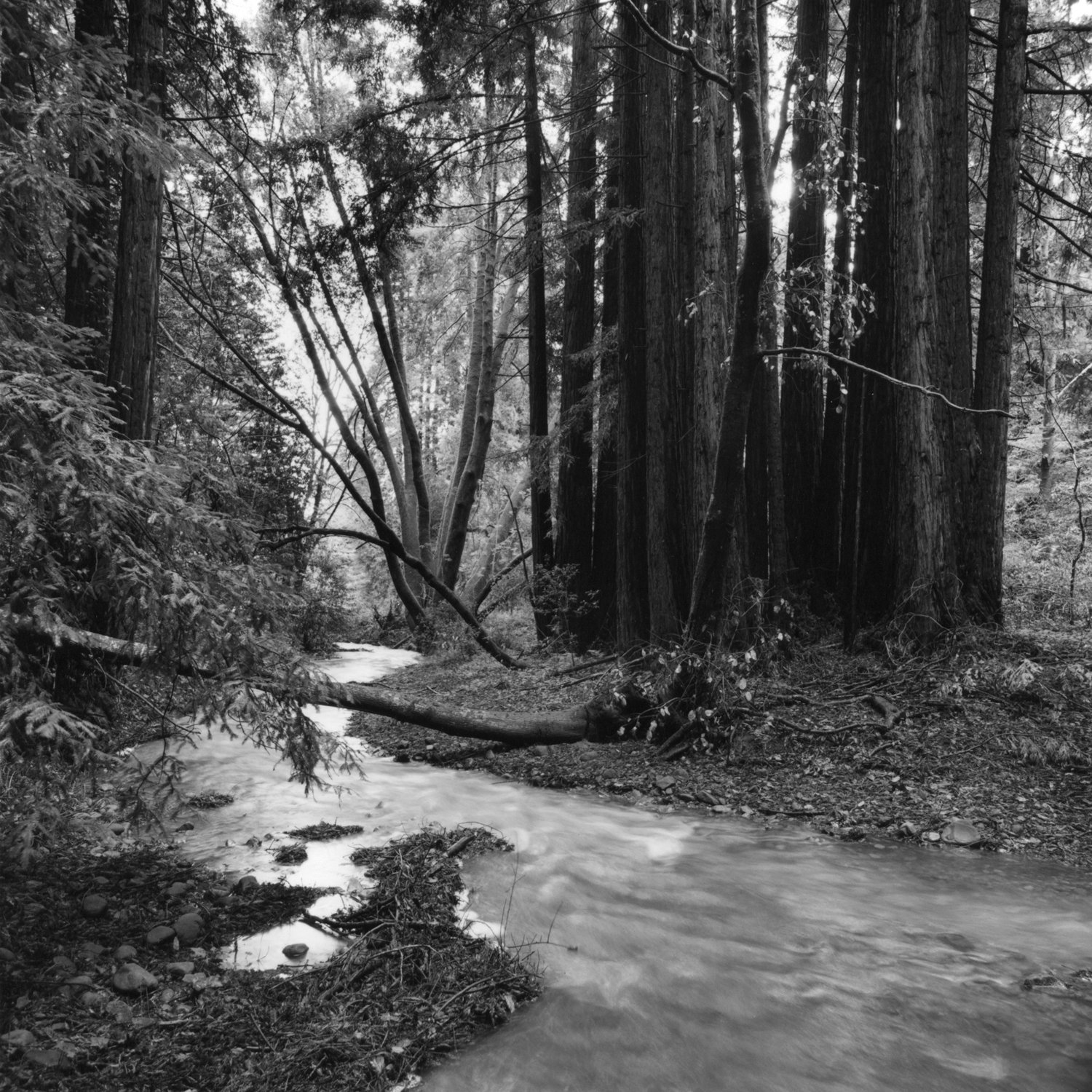 West Union Creek (1991).jpg