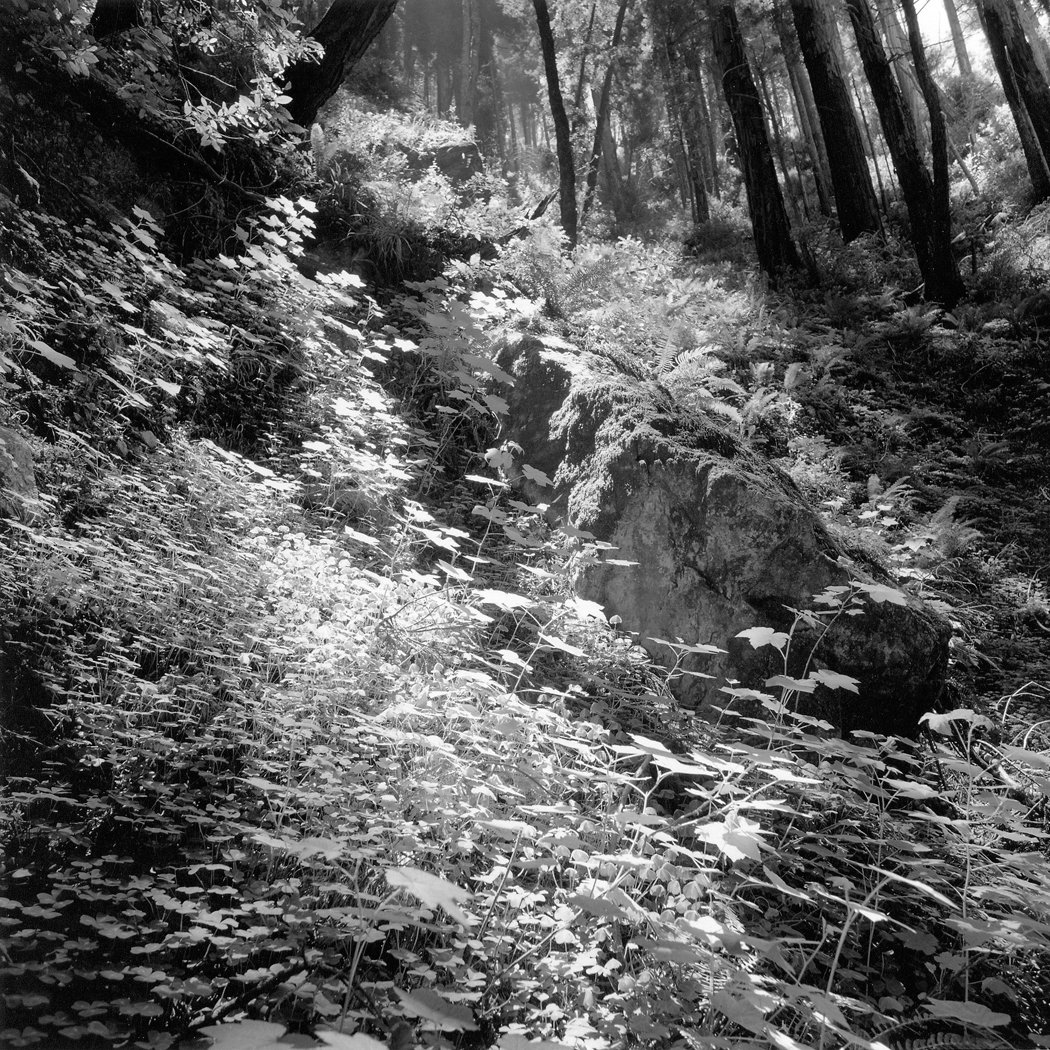 Lafler Canyon (2001).jpg