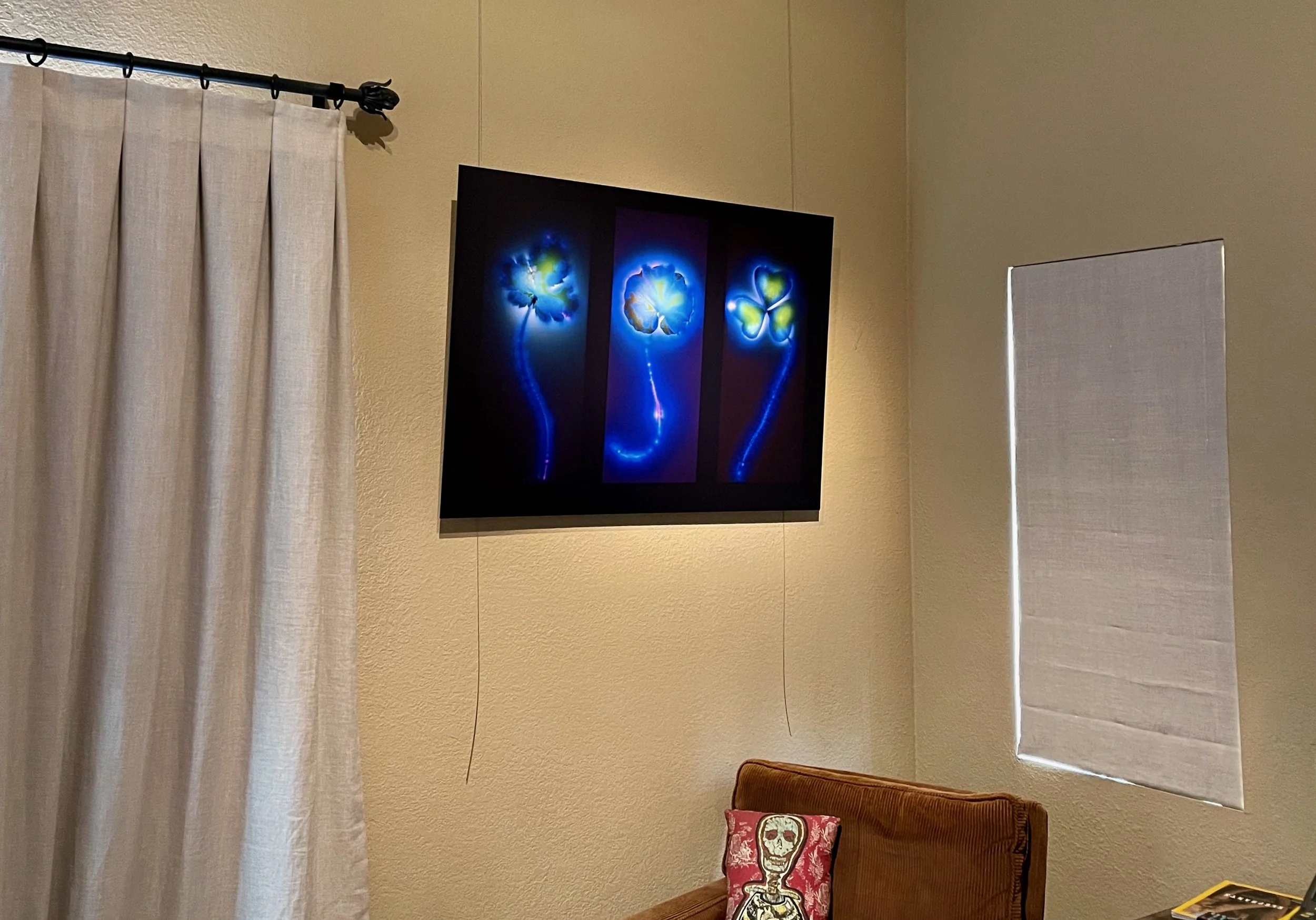 Woodland Forest Floor