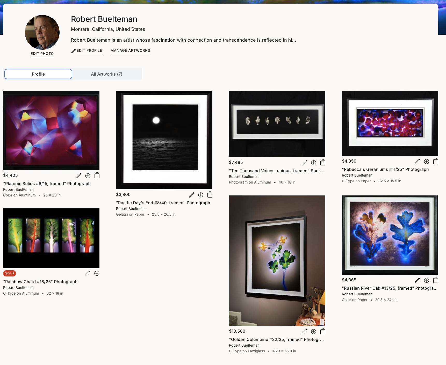 Buelteman on Saatchi Art