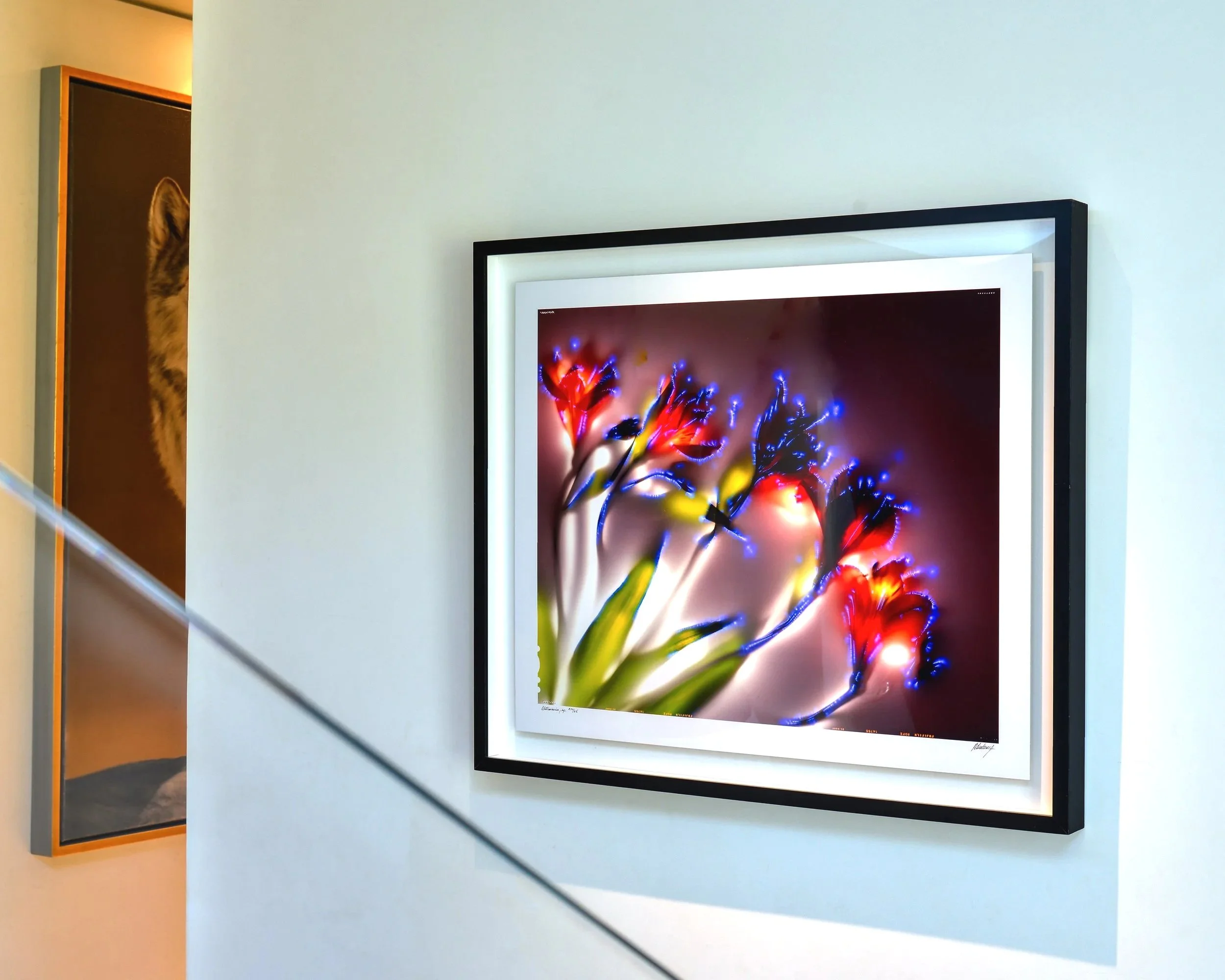 Susan Spiritus Gallery