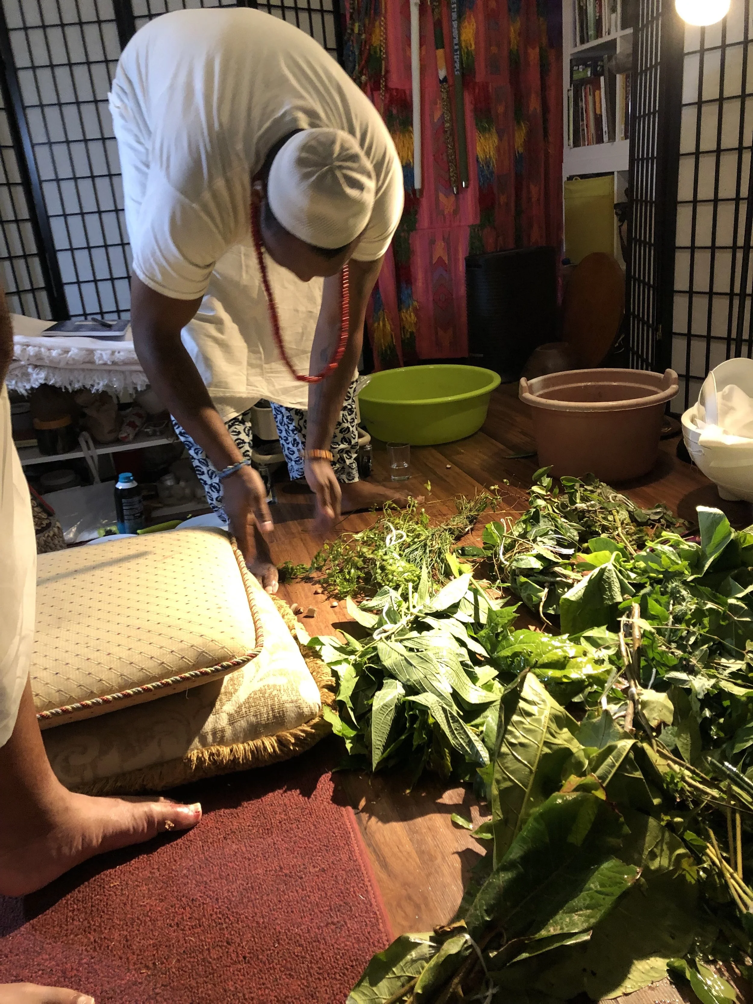 Gathering, sorting, and preparing sacred herbs during an Olókun initiation ceremony. Within the Ifá and Òrìṣà traditions, Òsányìn is the guardian of herbal knowledge, healing, and the spiritual properties of plants. This work forms an essential part 