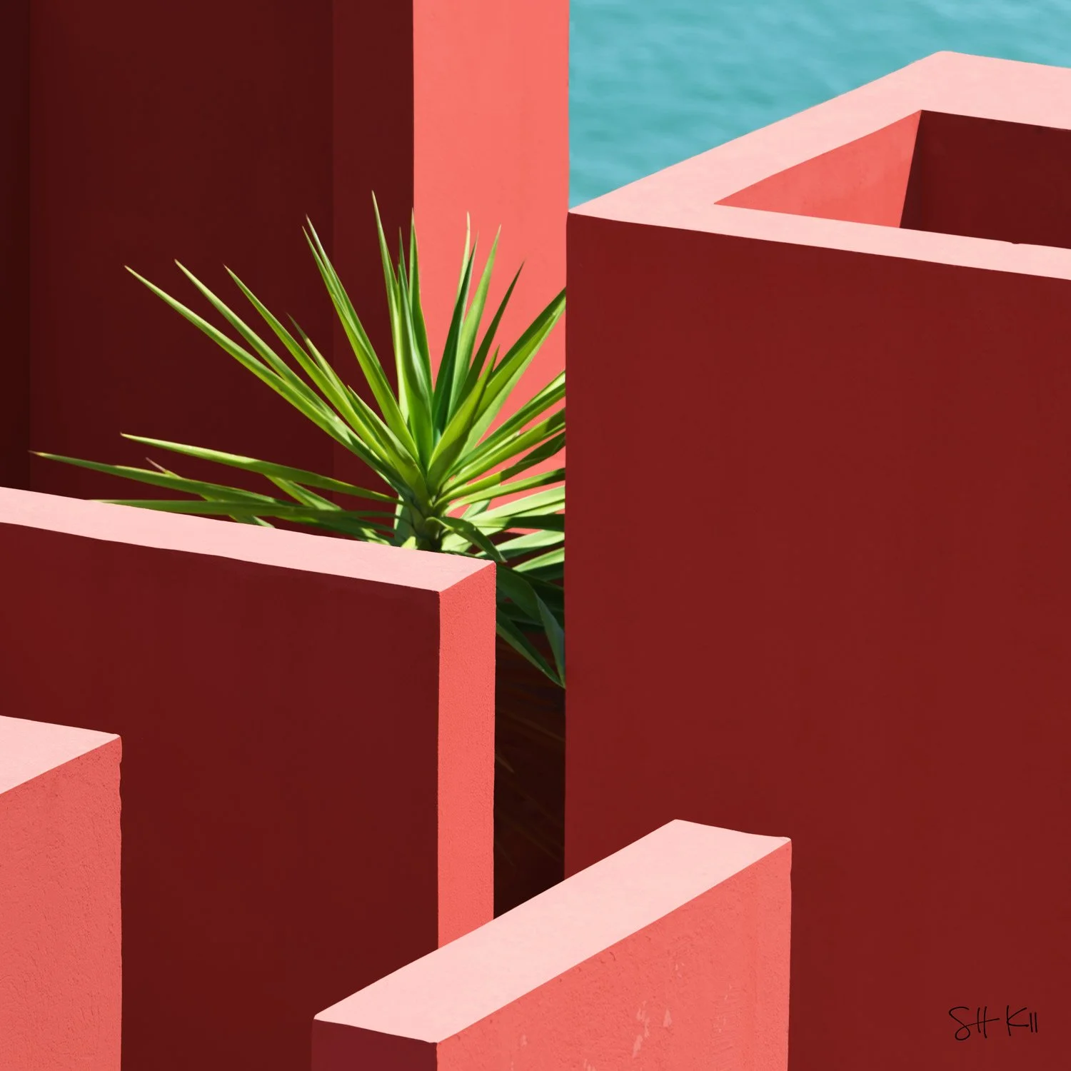 Muralla-Roja_Series_17-web.jpg