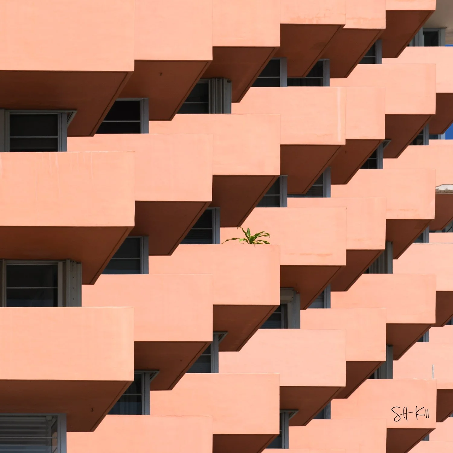 Miami-Beach_17-web.jpg