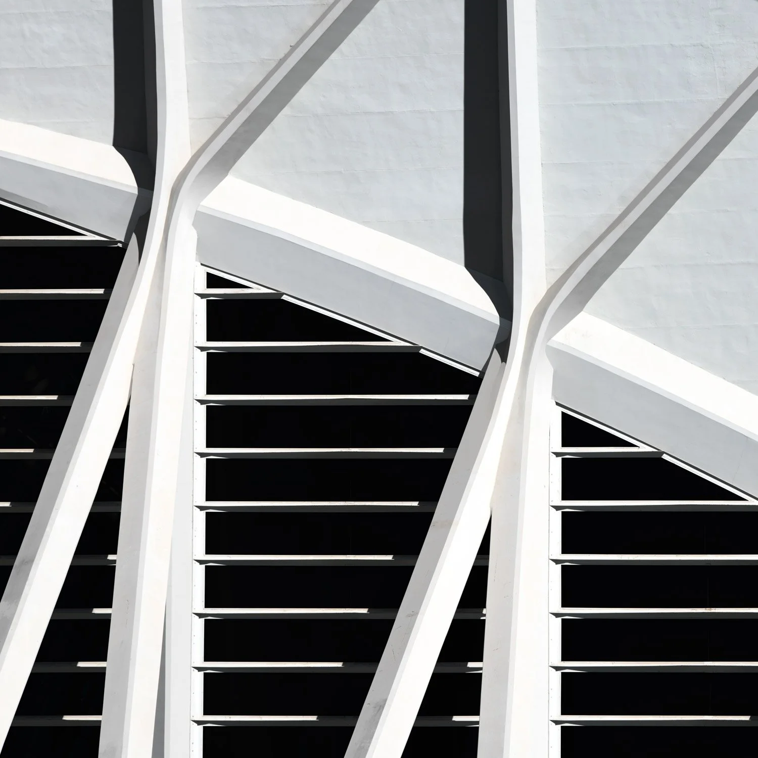 City of Arts and Sciences 14 Photography Print