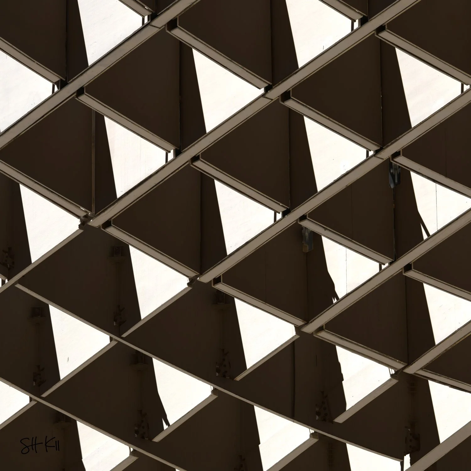 Setas de Sevilla 10 Photography Print