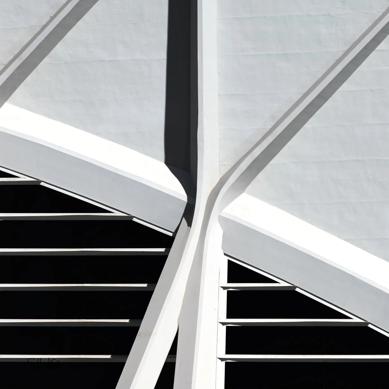 City of Arts and Sciences 02 Photography Print