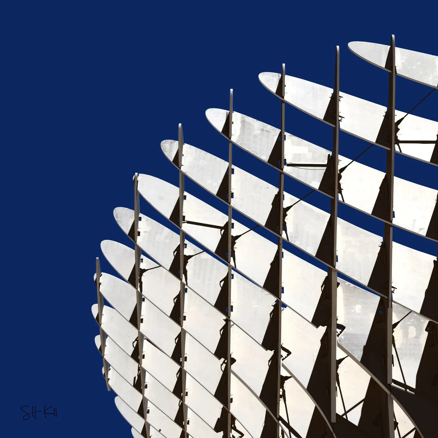 Setas de Sevilla 05 Photography Print
