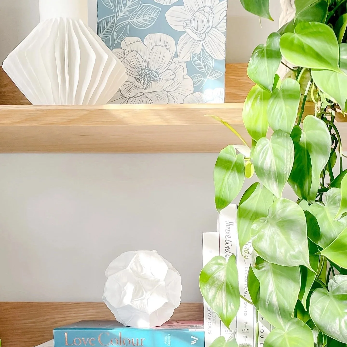 Book Shelf Styling