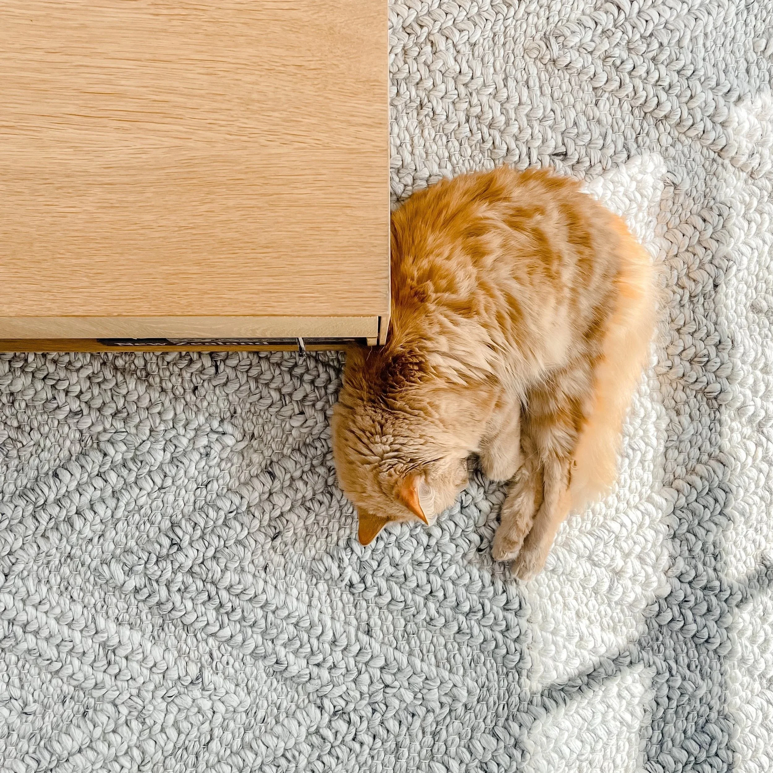Sustainable Interior Design Tips