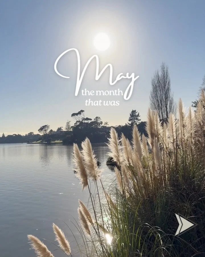 A few client projects. A lot of design decisions.

Some beautiful autumn walks. Plenty of time outdoors.

One very photogenic cat.

And somehow, May is already over. ✨

A little collection of moments from the month that was. 🤍

Swipe through for int