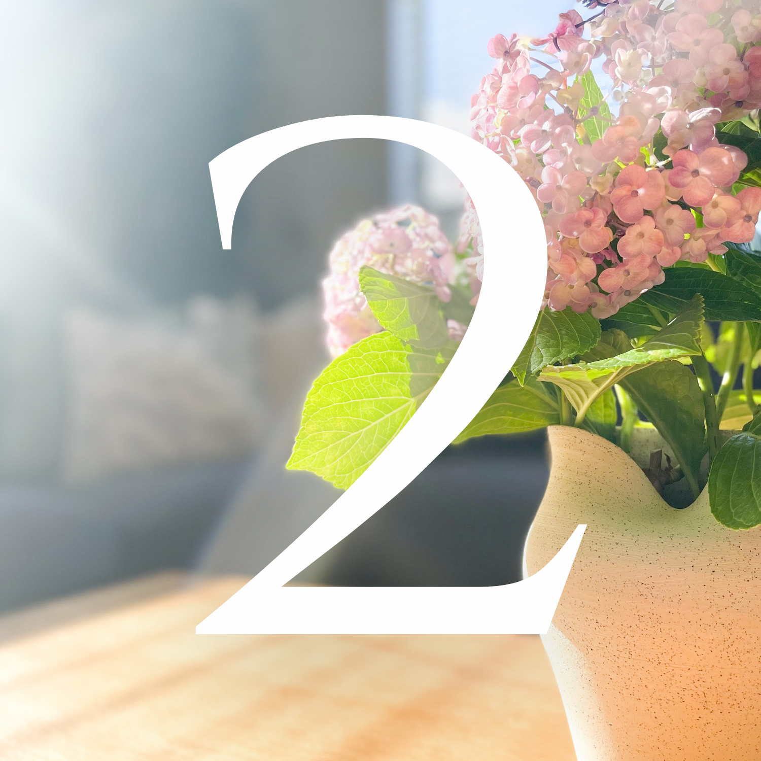 Interior design Auckland NZ