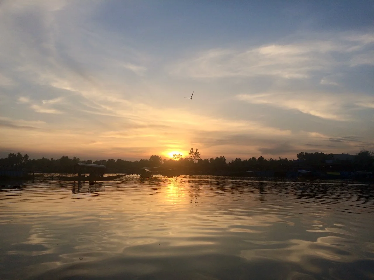Lake Srinigar at Sunset, a bird flying through the sky.
