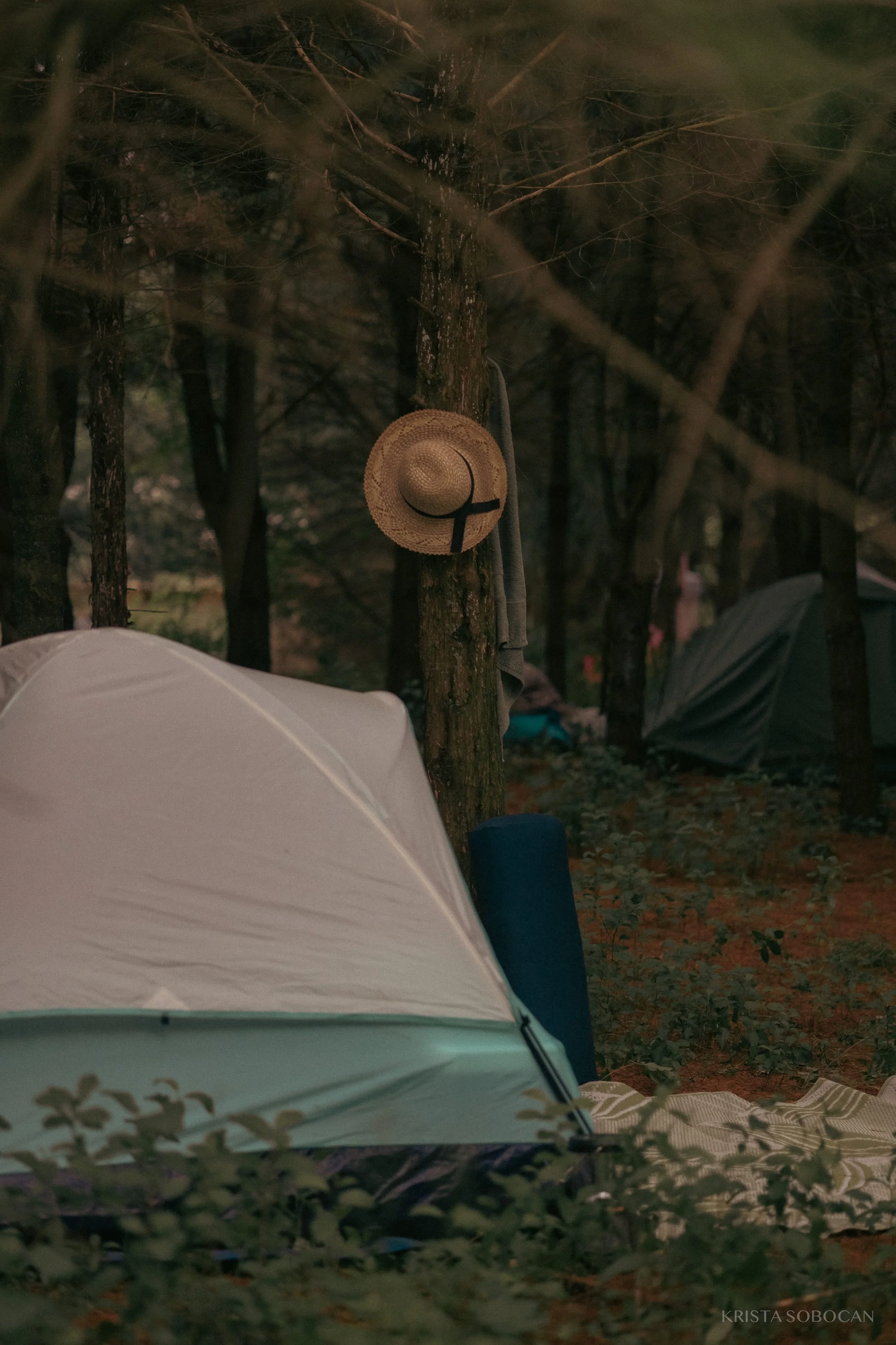 SV25 - krista sobocan -570.jpg