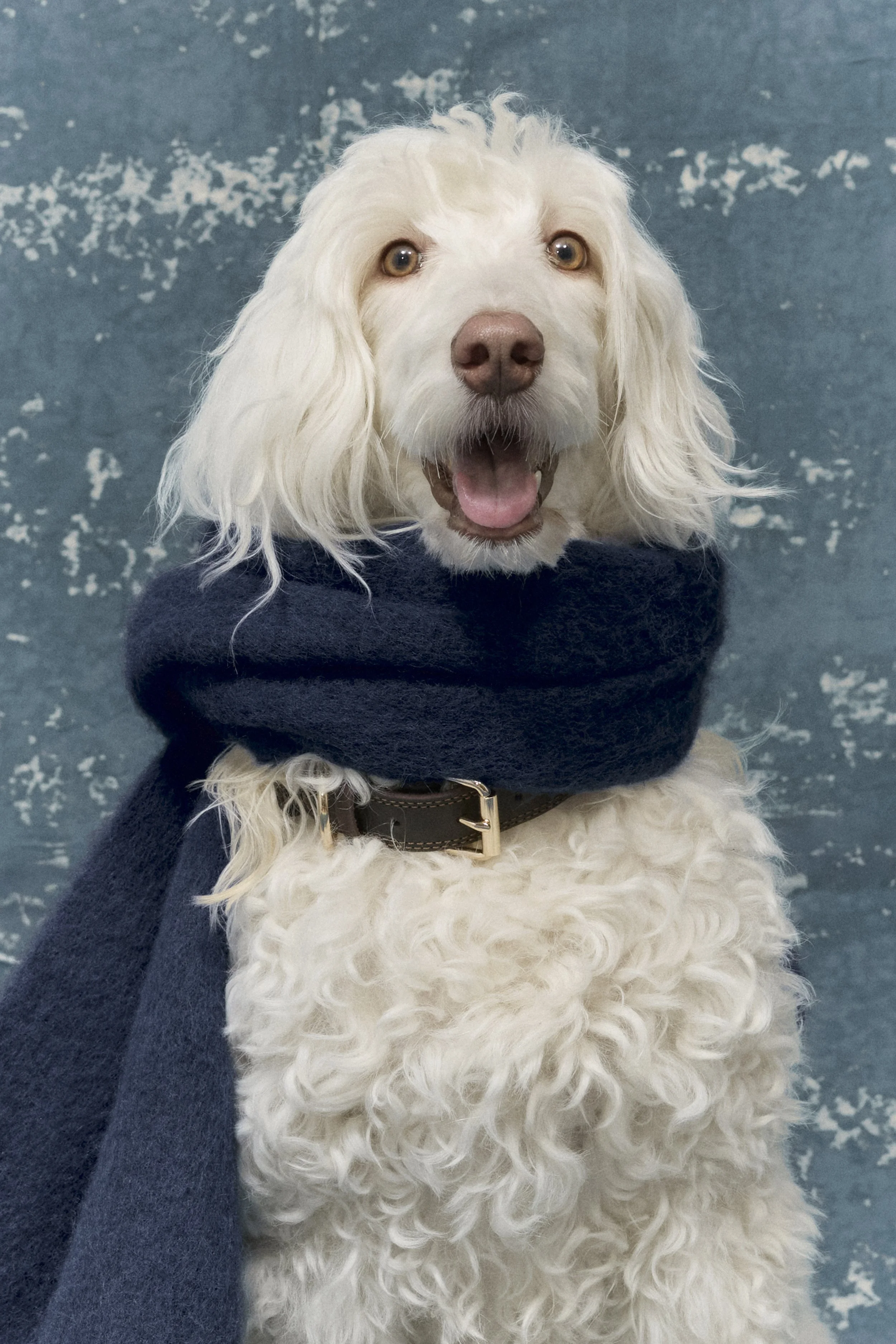 LOUISE Directed by Sophia Lee.