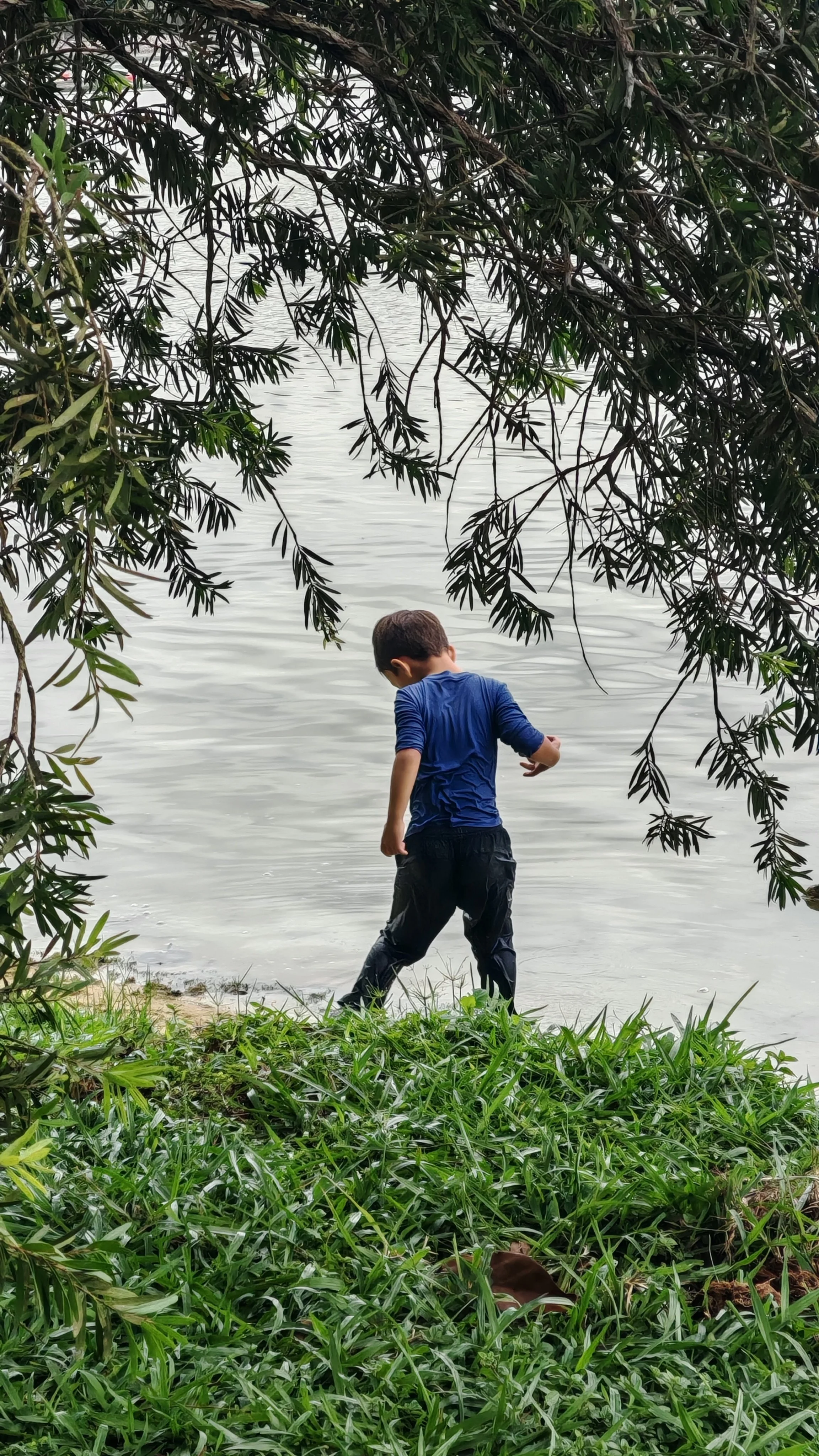 Level 1: The Art of Belonging (Now Launching)