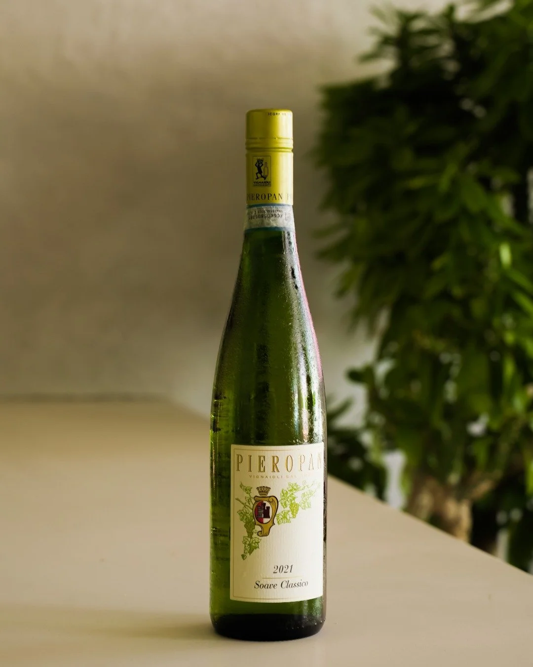 An easy Italian white for the table. Pieropan Soave Classico.

@pieropanwines

#cairnsbar #cairnsrestaurant