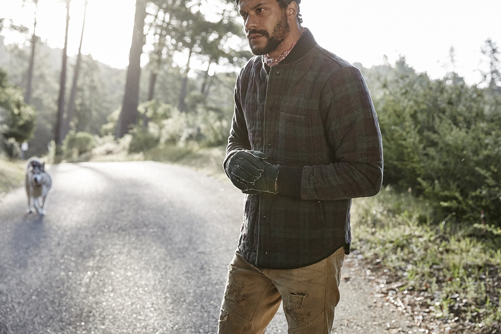 THE WOODS_7940.jpg