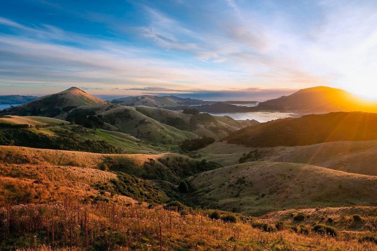 Great to see the recent nine news Australia featuring Otepoti Dunedin as the laid back alternative to bustling Queenstown.

There is so much to do across Otago that exploring here a-while is becoming a must do alternative ; slower experience to the h