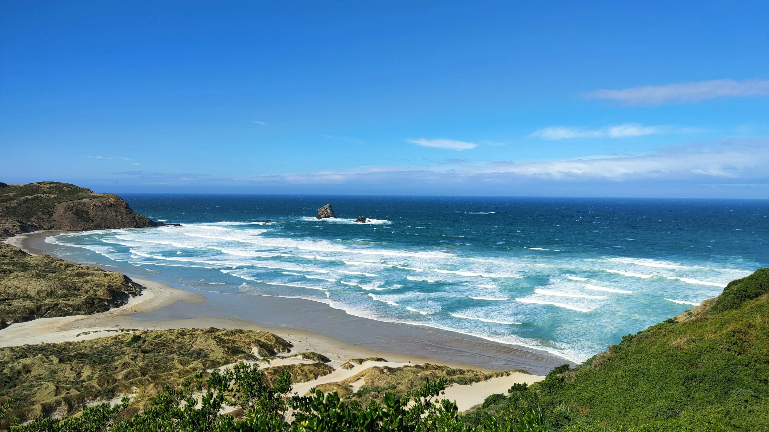 Dunedin Beaches