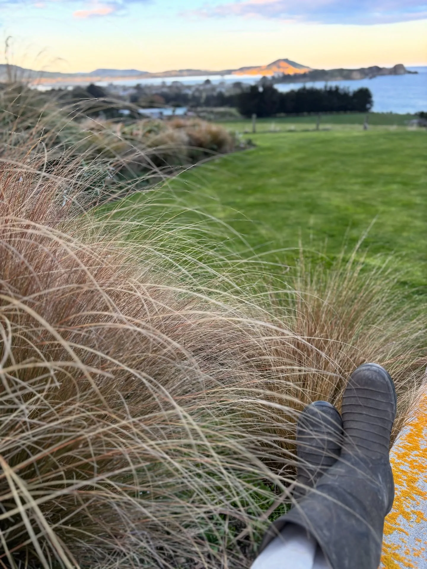 It&rsquo;s been an a week !!! We leaned into eclipses ; 9&rsquo;s ; spreading our homemade compost ( Yass!) and remaking a new batch to mature this season.  We spread pea straw ; mulch and weeded and weeded and weeded ( yup it&rsquo;s grown all throu